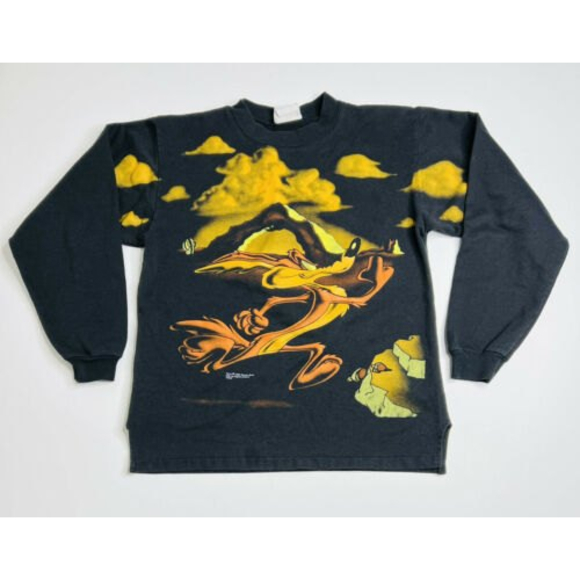 Vintage 1995 Looney Tunes Wile E Coyote Long Sleeve Crew Neck Youth Large 12-14